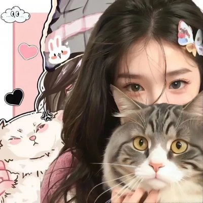 被炉、蜜桔和小猫